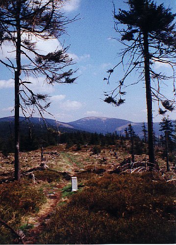 Kr�lick� Sn�n�k od jihu